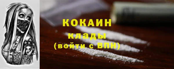 стафф Алзамай