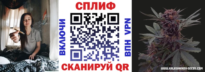 где найти наркотики Боровичи Канабис THC 21%
